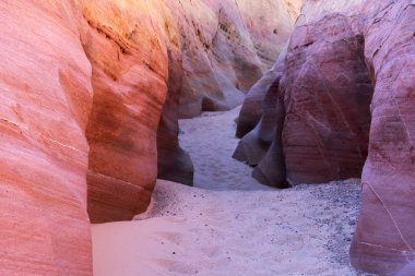 Bir yuvası Kanyon, doğal Vadisi, yangın devlet parkı Las Vegas, Nevada yakınındaki