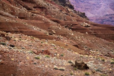 Vermillion uçuruma Lee'nin feribot Arizona yakınlarında bir görünümünü