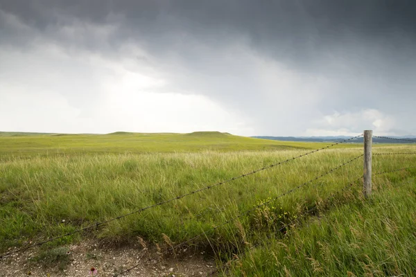 Les Prairies Des Black Hills Dans Dakota Sud — Photo