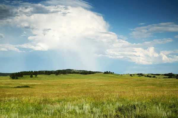 Les Black Hills Dans Custer State Park Dans Dakota Sud — Photo