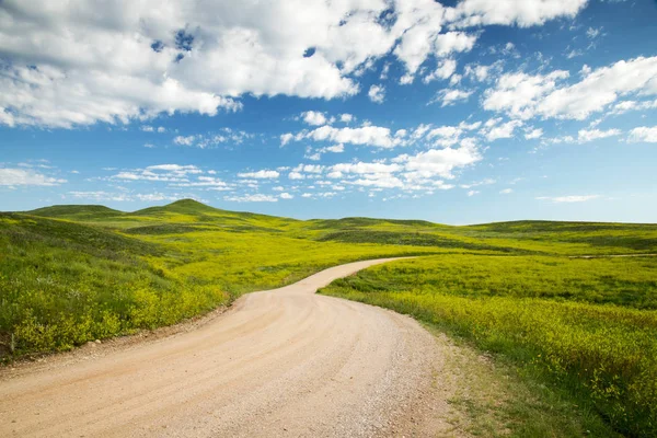 Road through the Balck Hills in Custer State Park in South Dakota