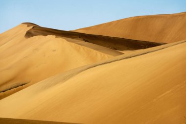 Bir kumul, büyük kumul Milli Parkı yakınındaki Alamosa, Colorado gelen görüntülemek.