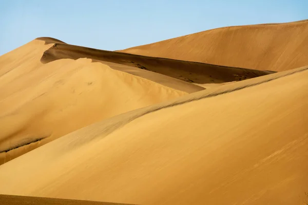在科罗拉多州阿拉莫萨附近的大沙丘国家公园的沙丘上观看 — 图库照片
