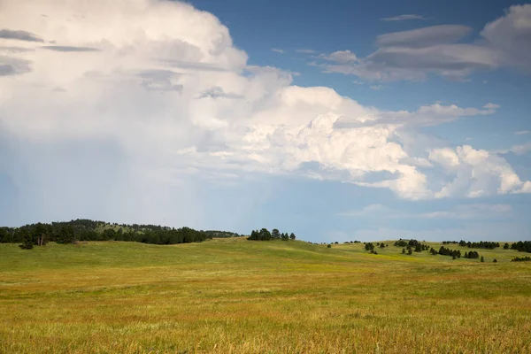 Les Black Hills Dans Custer State Park Dans Dakota Sud — Photo