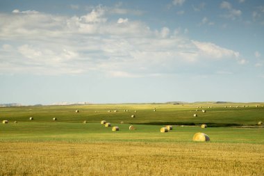 Güney Dakota kırsalında saman balya
