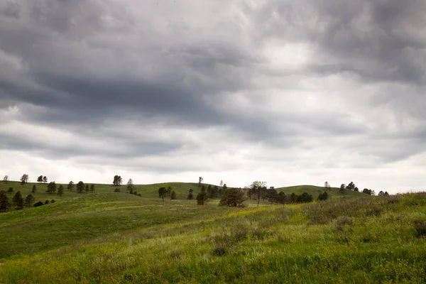 Les Black Hills Dans Custer State Park Dans Dakota Sud — Photo