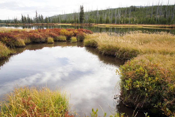 Herfst Scène Langs Rivier Van Lewis Het Nationaal Park Yellwostone — Stockfoto