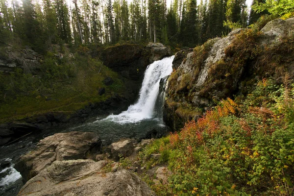 Moose Falls Arroyo Crawfish Parque Nacional Yellowstone —  Fotos de Stock