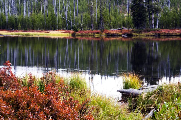 Herfst Scène Langs Rivier Van Lewis Het Nationaal Park Yellwostone — Stockfoto