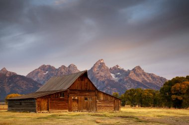 Bir Mormon satırda Grand Teton Milli Parkı, Moulton kulübeler.