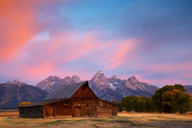 Bir Mormon satırda Grand Teton Milli Parkı, Moulton kulübeler.