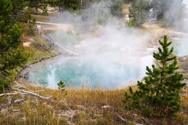 Yellowstone Bluebell Басейні Розташованому Басейні Гейзер Пальця Захід — стокове фото