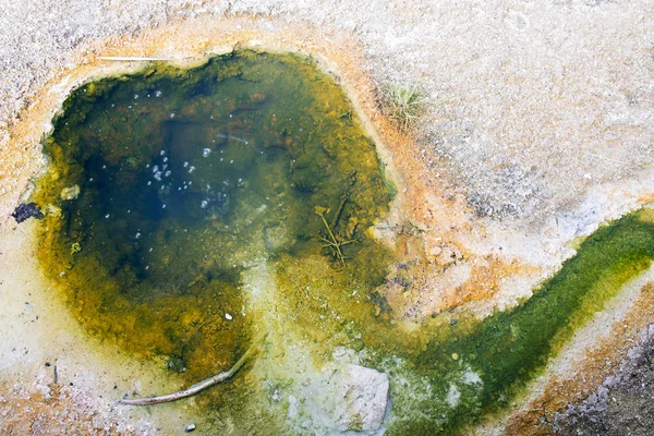 Kleine Voorjaar Het Westen Duim Geyser Basin Het Nationaal Park — Stockfoto