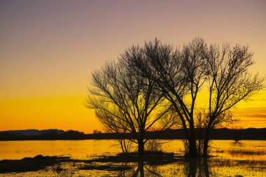 Günbatımı Bosque del Apache Milli Yaban hayatı Sığınağı Uçuş Güverte yakınındaki