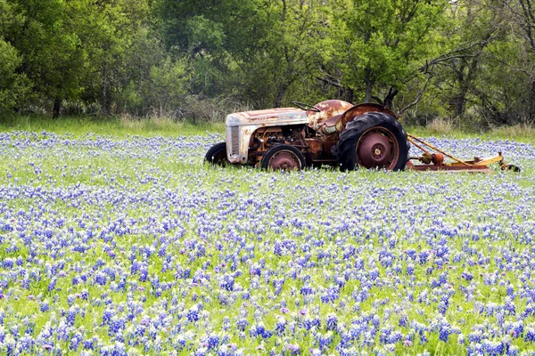 Bluebonnet gefüllte Wiese und rustikaler Traktor bei Tennis, Texas — Stockfoto