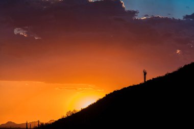 Sunset in the Sonoran Desert near Phoenix, Arizona clipart