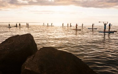 Tallinn, Estonya, 29 Temmuz 2017: Ayakta kürek tahtasında sörf yapanlar. Gün batımında paddleboarding.