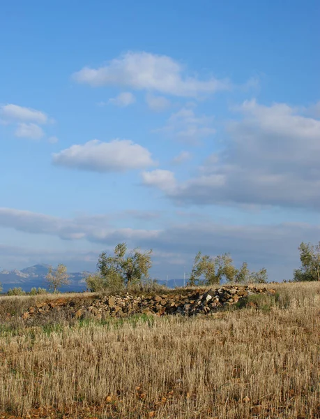 Ogrodzenie Kamień Między Suchej Trawy Pochmurne Niebo Niebieski — Zdjęcie stockowe