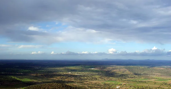 Panorama Landskab Vinstokke Oliventræer Hvede Egetræer Med Overskyet Himmel - Stock-foto