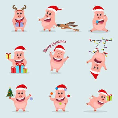 Küçük komik domuz ayarlayın. Çin yeni yılı. Domuz yıl.