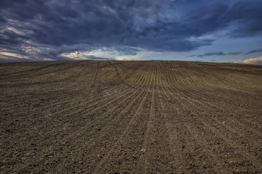 Güzel sürülmüş alan ve bulutlu gökyüzü sahne 