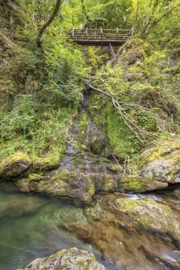 bir nehir ve ahşap köprü ile ormanda güzel manzara