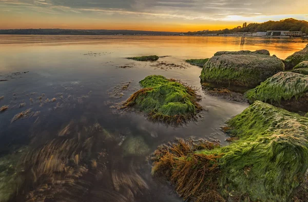 Beauty Sea Sunset Colorful Moss Rocks Smooth Long Exposure Waves — Stock Photo, Image