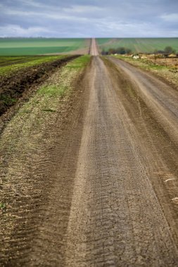 Kırsal yol alanın karşısındaki ufukta kaybolan. Gökyüzü beyaz ve gri bulutlar ile kaplı. Arka plan bulanık.