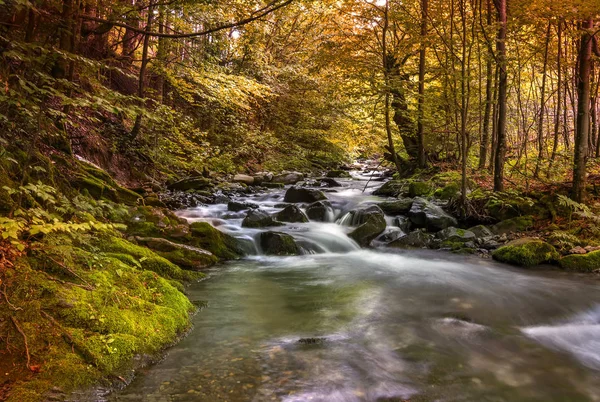 山川と木々 の彩り 美しい秋の色 — ストック写真