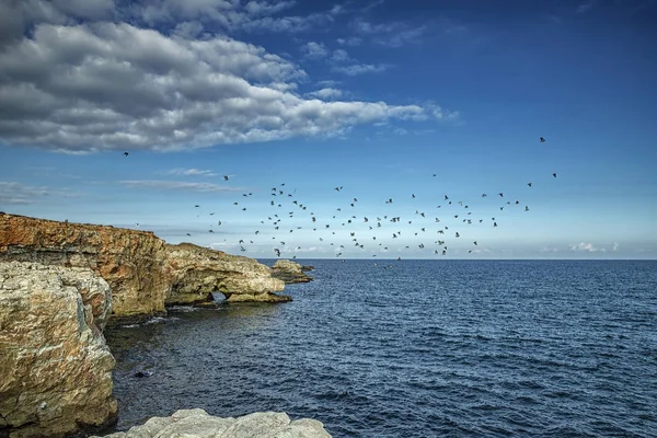Spectaculaire Landschap Aan Kust Kliffen Met Een Vliegende Vogels Buurt — Stockfoto