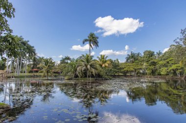 Güzel bir gün görünümü göl kenarında Criadero de Cocodrilos, Küba ve avuç içi