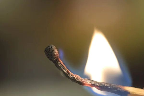 Yangın Yayılır Ahşap Bir Maç Üzerinden Yakın Çekim — Stok fotoğraf
