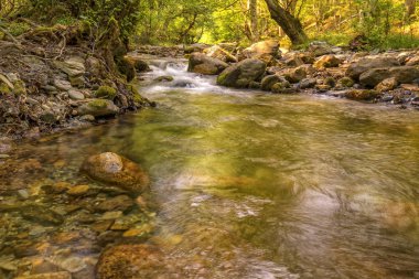 Güzel sonbahar yatay, dağ nehir ve renkli ağaçlar