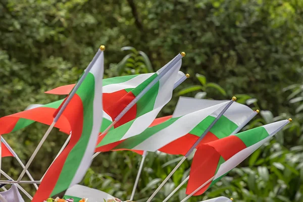 Gün Görünümü Açık Duran Birçok Bulgar Bayrakları Kapat — Stok fotoğraf
