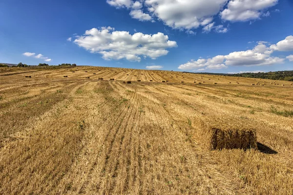 Schilderachtig Uitzicht Hooibalen Het Veld Oogst — Stockfoto