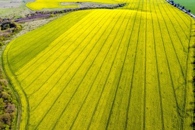 traktör izleri ile alan 