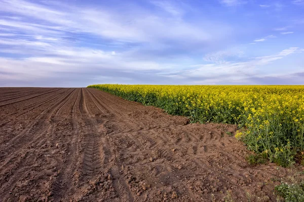 Un hermoso paisaje rural — Foto de Stock