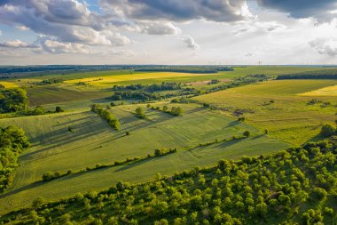 Yazın yeşil kırsal bir bölgenin insansız hava aracı görüntüsü.