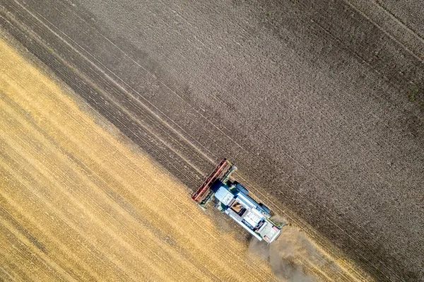 空中观察无人机的收获场与联合修剪小麦 在田里收割 顶部视图 — 图库照片