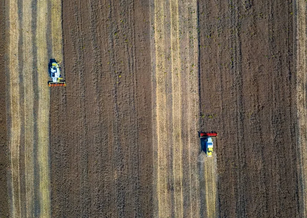 Erntezeit Die Agrarindustrie Luftaufnahme Eines Mähdreschers Auf Dem Feld Ansicht — Stockfoto