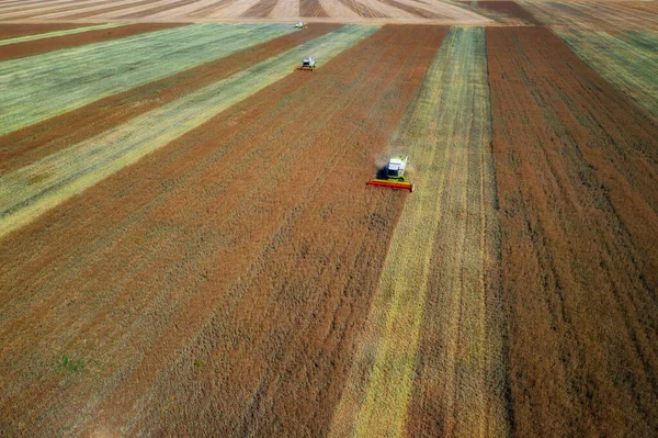 Harvesting time. Agriculture. Agricultural industry. Aerial view of combine harvester in field