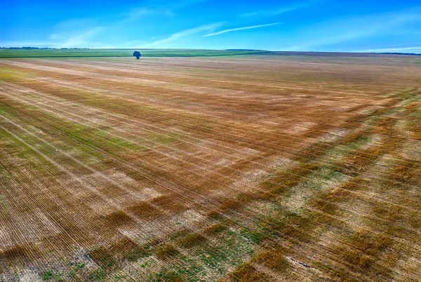 Scenic View Drone Landscape Earth Surface Harvest Nature Background — Stock Photo, Image