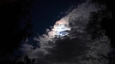 Gece ağaçlar arasında ayın önünde hareket eden bulutların güzelliği.