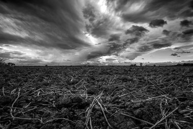 Kırsal alanda güzel bir gökyüzü