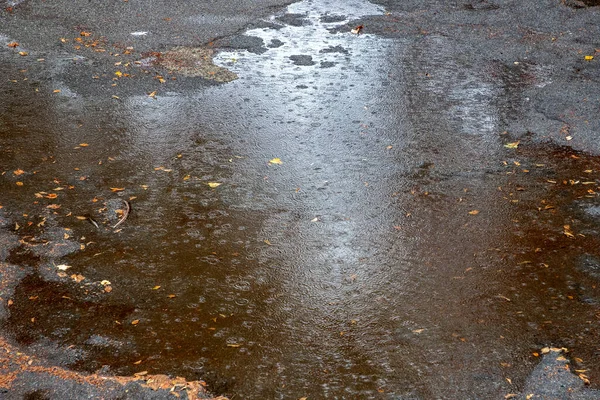 Rain Water Drops Falling City Street Floor Autumn Rainy Day — Stock Photo, Image