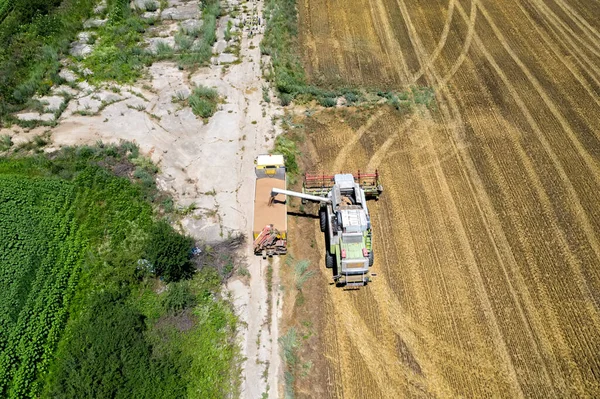 Mähdrescher Lädt Erntegetreide Auf Kipper Erntezeit Szene Der Landwirtschaft — Stockfoto