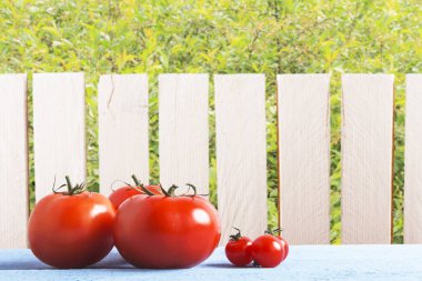 Organik domates bahçe bitki ve ahşap çit arka plan üzerinde ahşap tablo. Rustik bir yaşam tarzı. Kopya alanı.