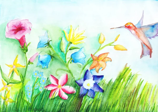 Champ Belles Fleurs Colibris Sur Dessin Aquarelle Espace Copie — Photo