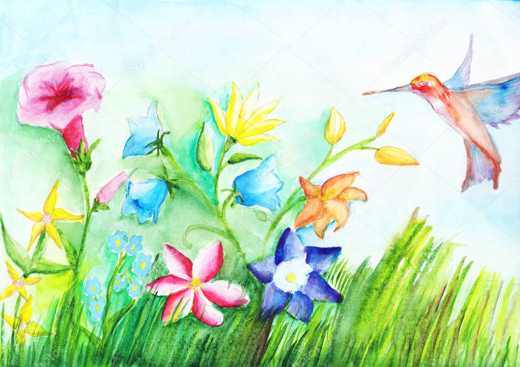 Field beautiful flowers and hummingbirds on watercolor drawing. Copy space.