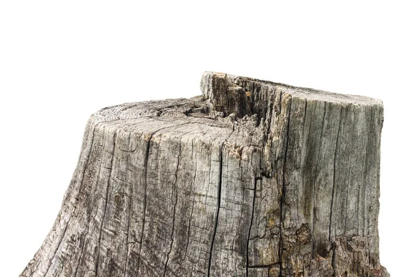 Beyaz Arka Plan Üzerinde Meşe Ağaç Kütüğü — Stok fotoğraf